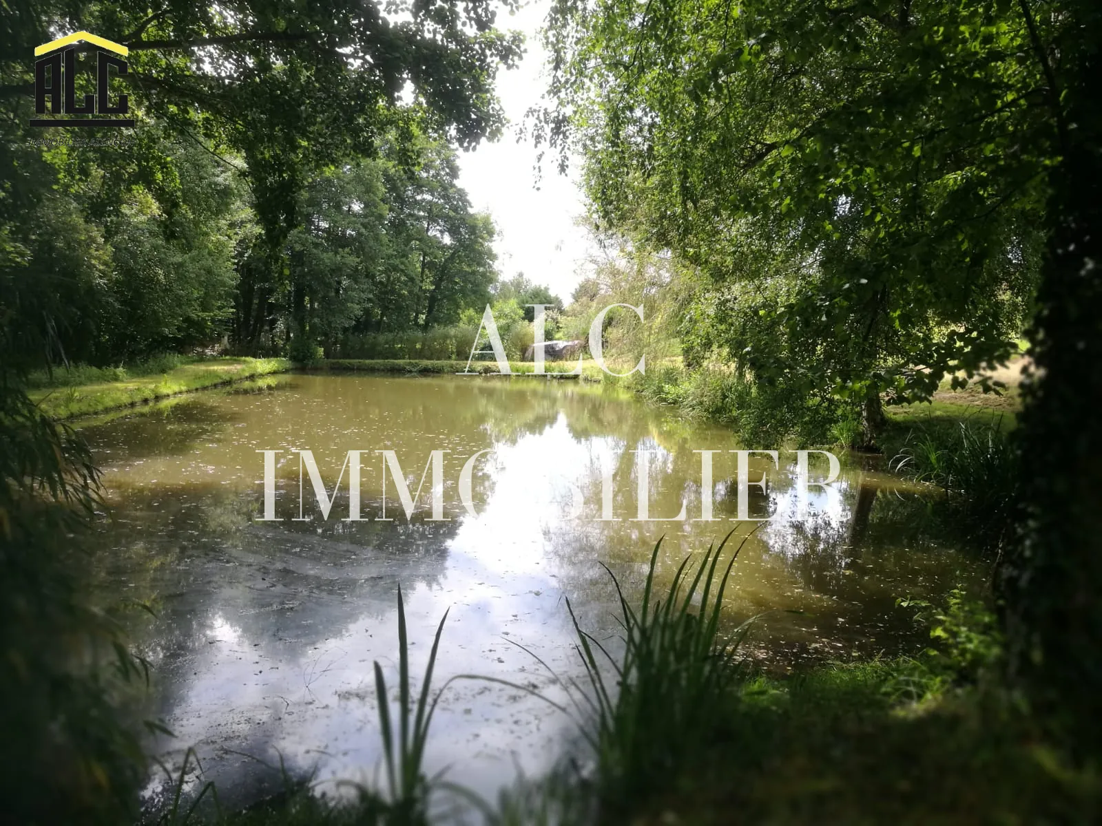 Terrain de loisir avec plan d'eau de 3718 m² à Villeneuve-en-Perseigne 