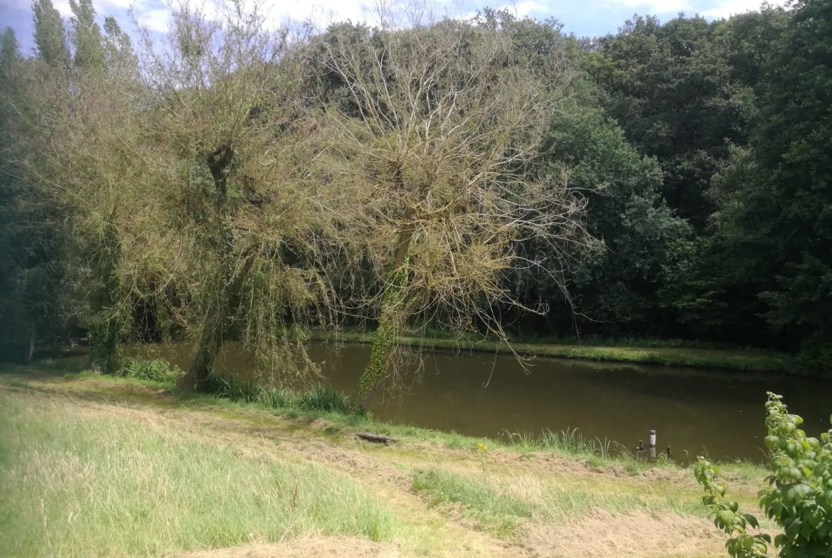 Terrain de loisir avec plan d'eau de 3718 m² à Villeneuve-en-Perseigne 