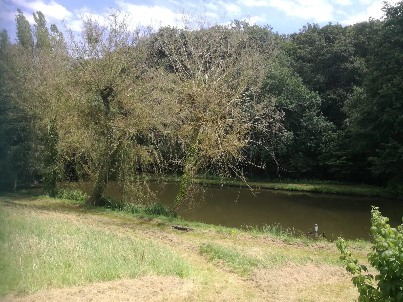 Terrain de loisir avec plan d'eau de 3718 m² à Villeneuve-en-Perseigne 