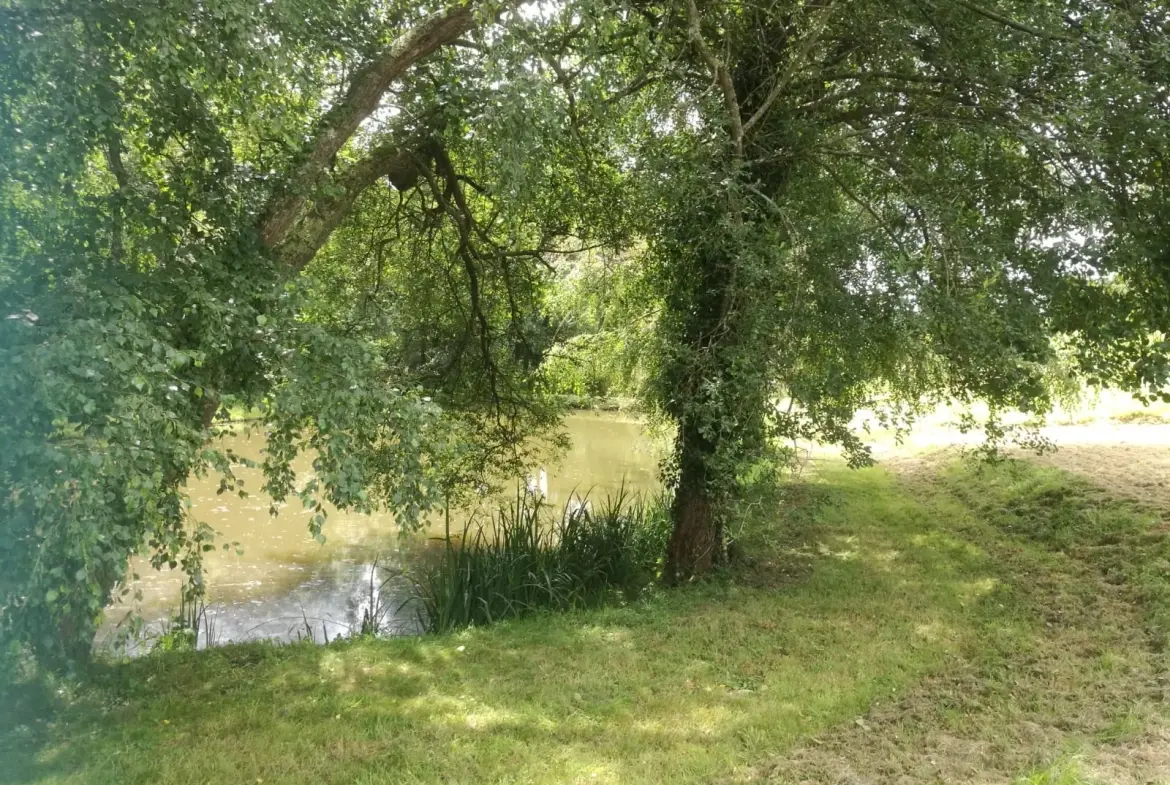 Terrain de loisir avec plan d'eau de 3718 m² à Villeneuve-en-Perseigne 
