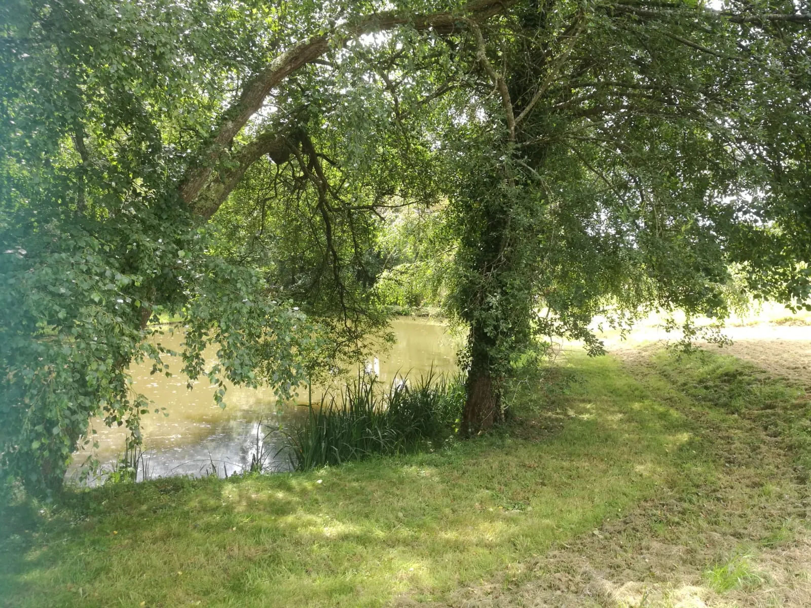 Terrain de loisir avec plan d'eau de 3718 m² à Villeneuve-en-Perseigne 