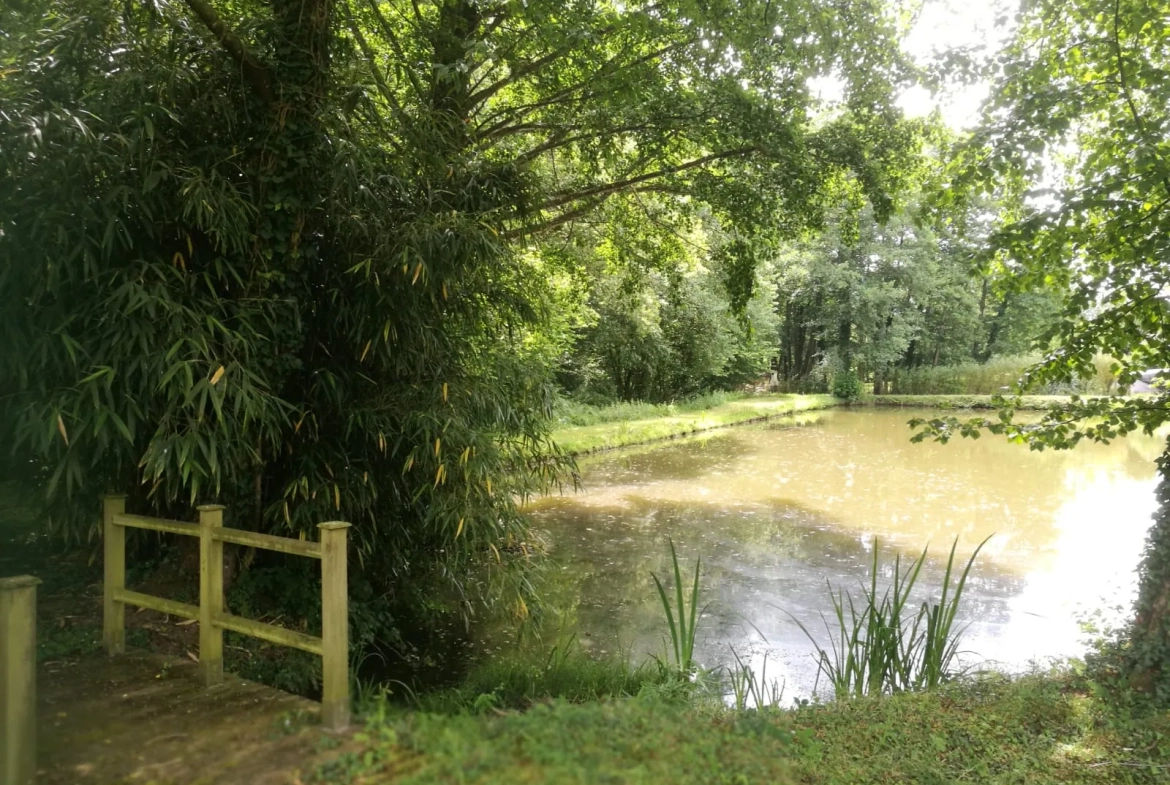 Terrain de loisir avec plan d'eau de 3718 m² à Villeneuve-en-Perseigne 