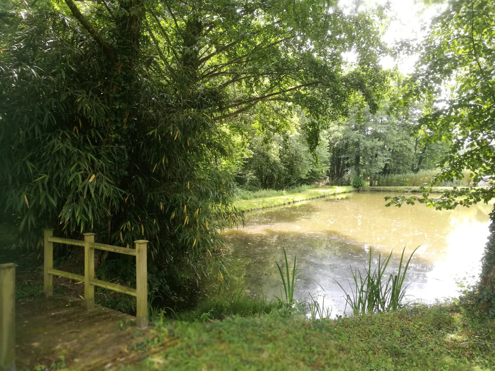 Terrain de loisir avec plan d'eau de 3718 m² à Villeneuve-en-Perseigne 