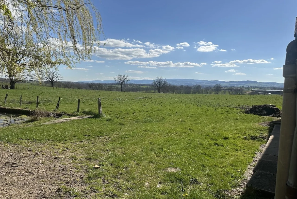 Corps de ferme rénové avec dépendances et 4 hectares à Urbise, Loire (42) 