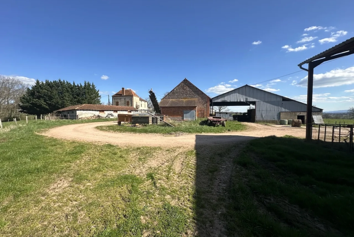 Corps de ferme rénové avec dépendances et 4 hectares à Urbise, Loire (42) 