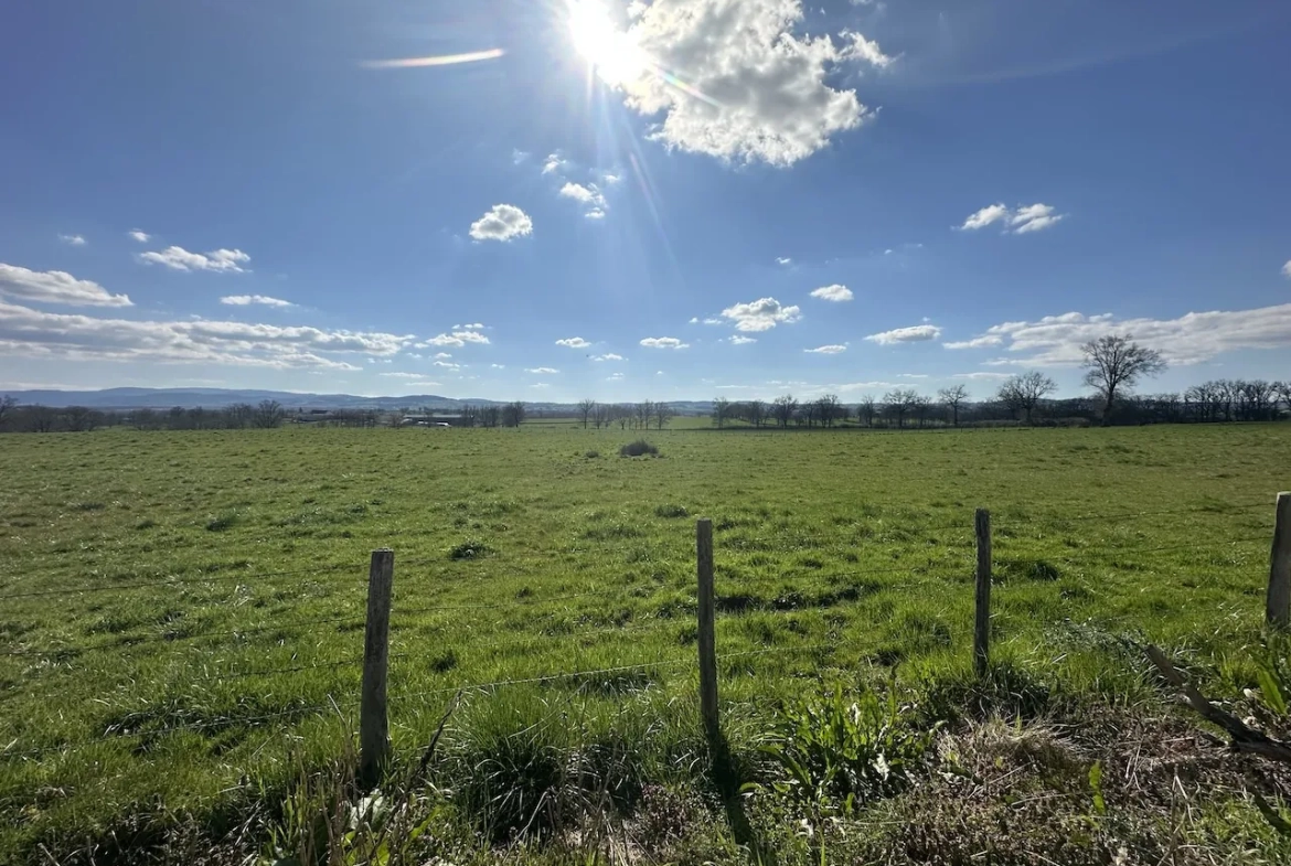 Corps de ferme rénové avec dépendances et 4 hectares à Urbise, Loire (42) 