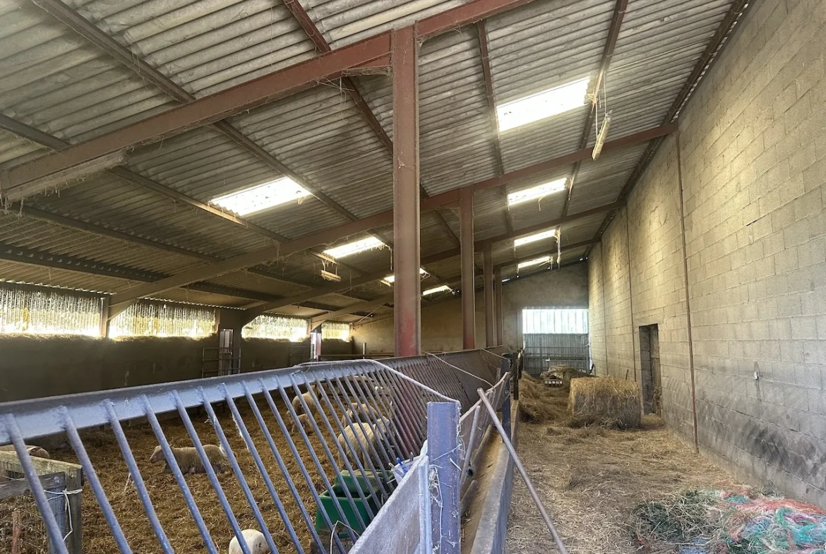 Corps de ferme rénové avec dépendances et 4 hectares à Urbise, Loire (42) 
