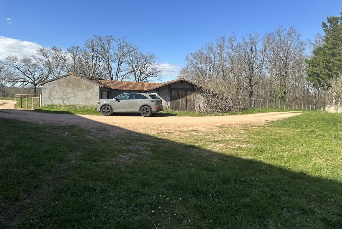 Corps de ferme rénové avec dépendances et 4 hectares à Urbise, Loire (42) 