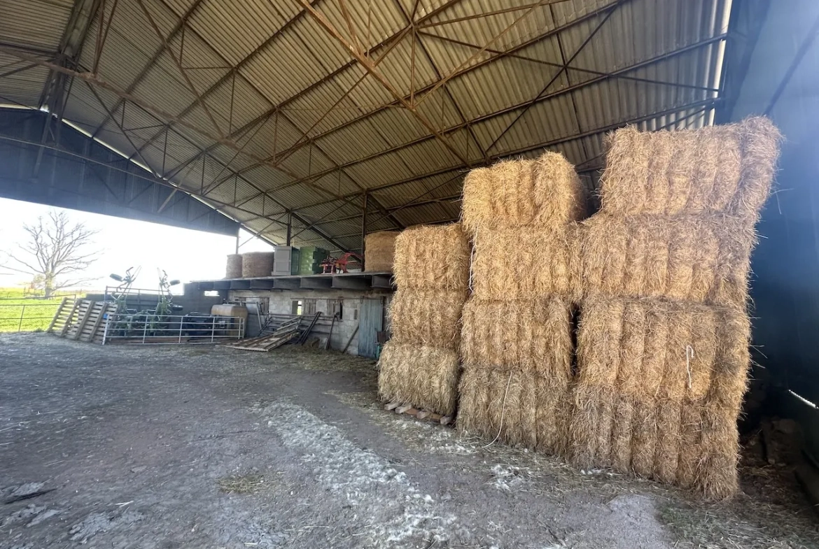 Corps de ferme rénové avec dépendances et 4 hectares à Urbise, Loire (42) 