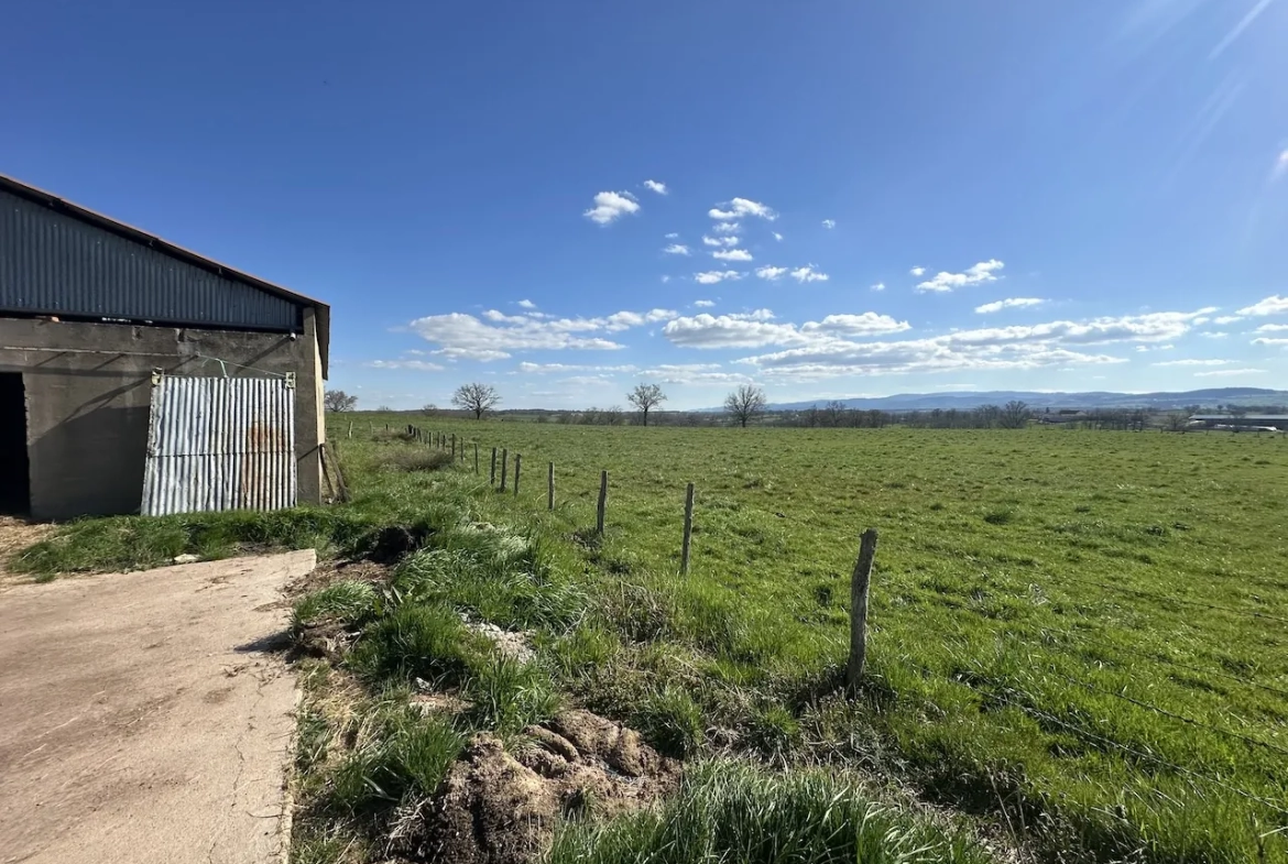 Corps de ferme rénové avec dépendances et 4 hectares à Urbise, Loire (42) 