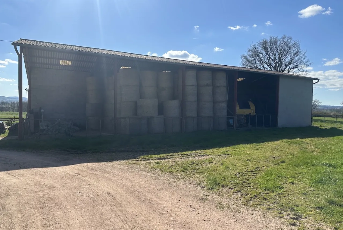 Corps de ferme rénové avec dépendances et 4 hectares à Urbise, Loire (42) 