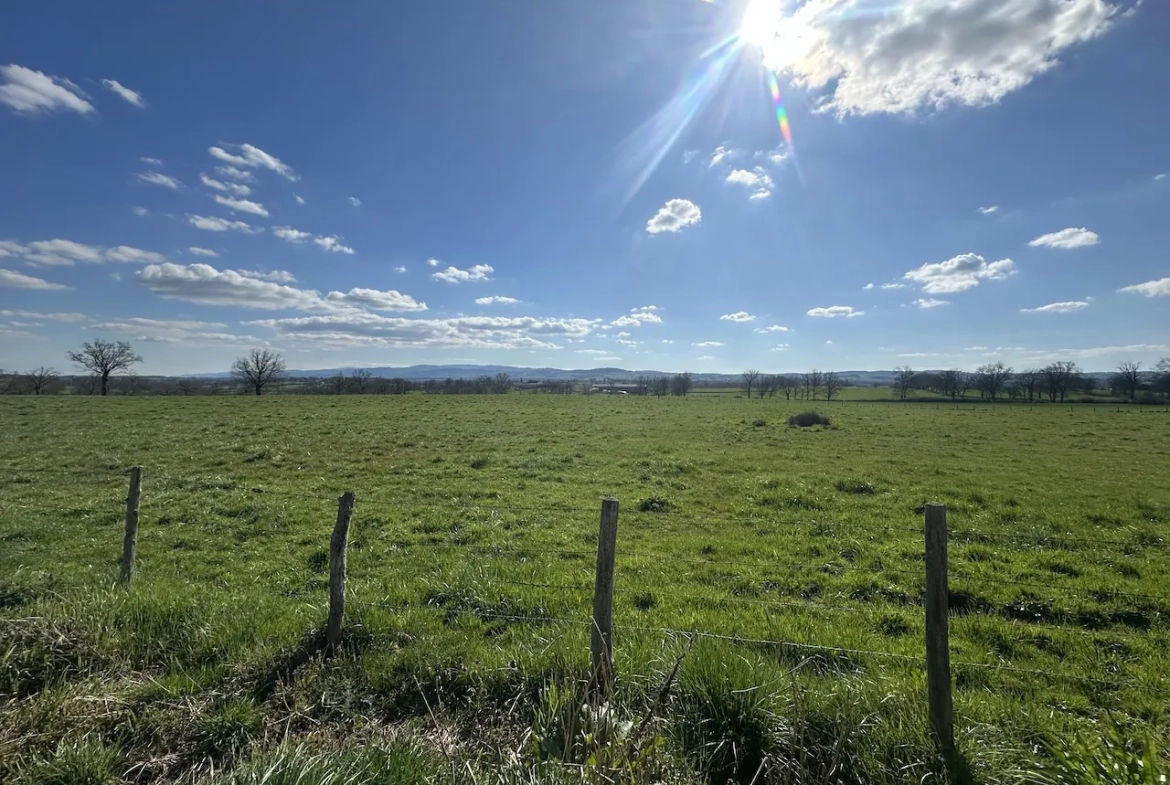 Corps de ferme rénové avec dépendances et 4 hectares à Urbise, Loire (42) 