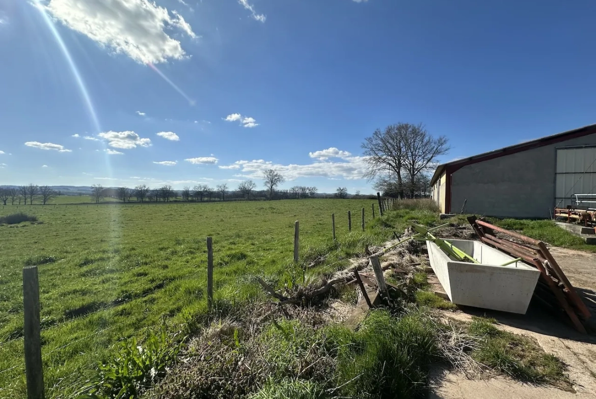 Corps de ferme rénové avec dépendances et 4 hectares à Urbise, Loire (42) 