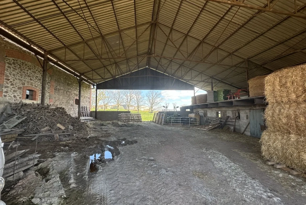 Corps de ferme rénové avec dépendances et 4 hectares à Urbise, Loire (42) 
