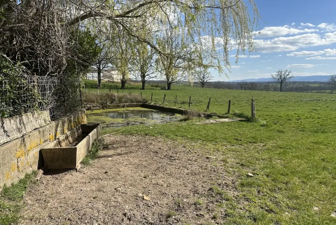 Corps de ferme rénové avec dépendances et 4 hectares à Urbise, Loire (42) 