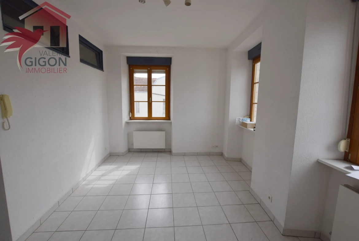 Appartement F2 lumineux à Montbéliard, entièrement rénové, secteur centre-ville et Parc des Miches 