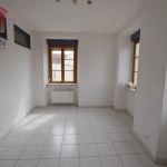 Appartement F2 lumineux à Montbéliard, entièrement rénové, secteur centre-ville et Parc des Miches