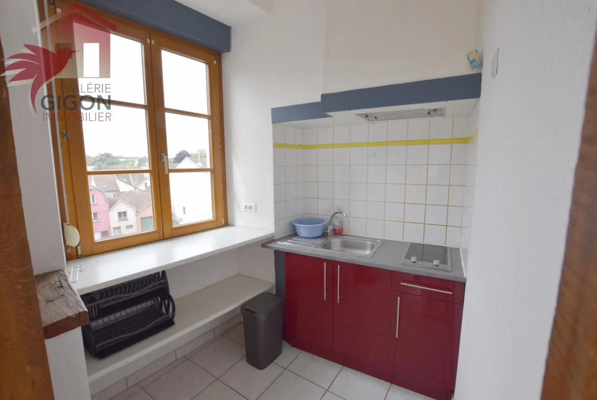 Appartement F2 lumineux à Montbéliard, entièrement rénové, secteur centre-ville et Parc des Miches 