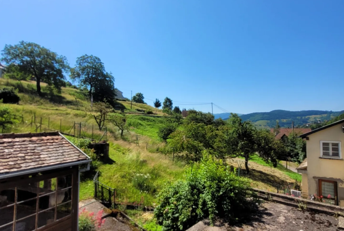 Grande maison familiale de 220 m² avec terrain de 14,67 ares et ruisseau à Soultzeren 
