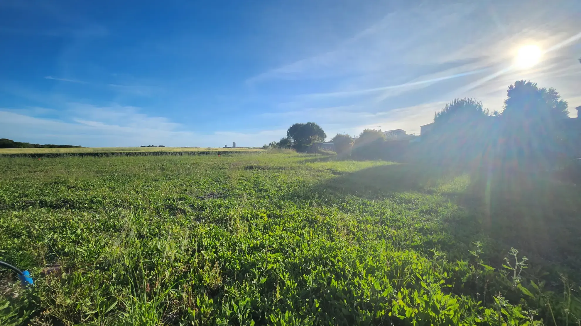Terrain constructible de 516 m² à Mornac-sur-Seudre en Charente-Maritime 