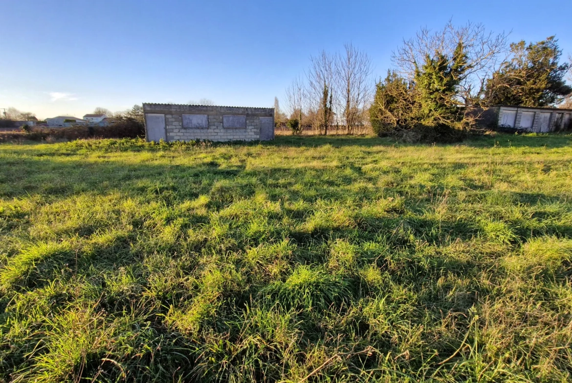 Terrain constructible de 2000 m² à Cozes, proche Royan 