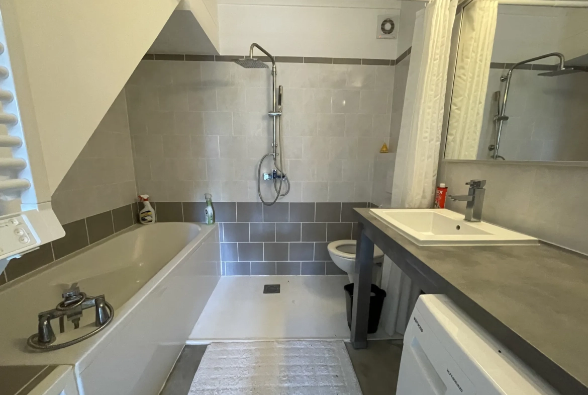 Longère à Bellerive-sur-Allier de 121 m² avec double habitation et terrain arboré 