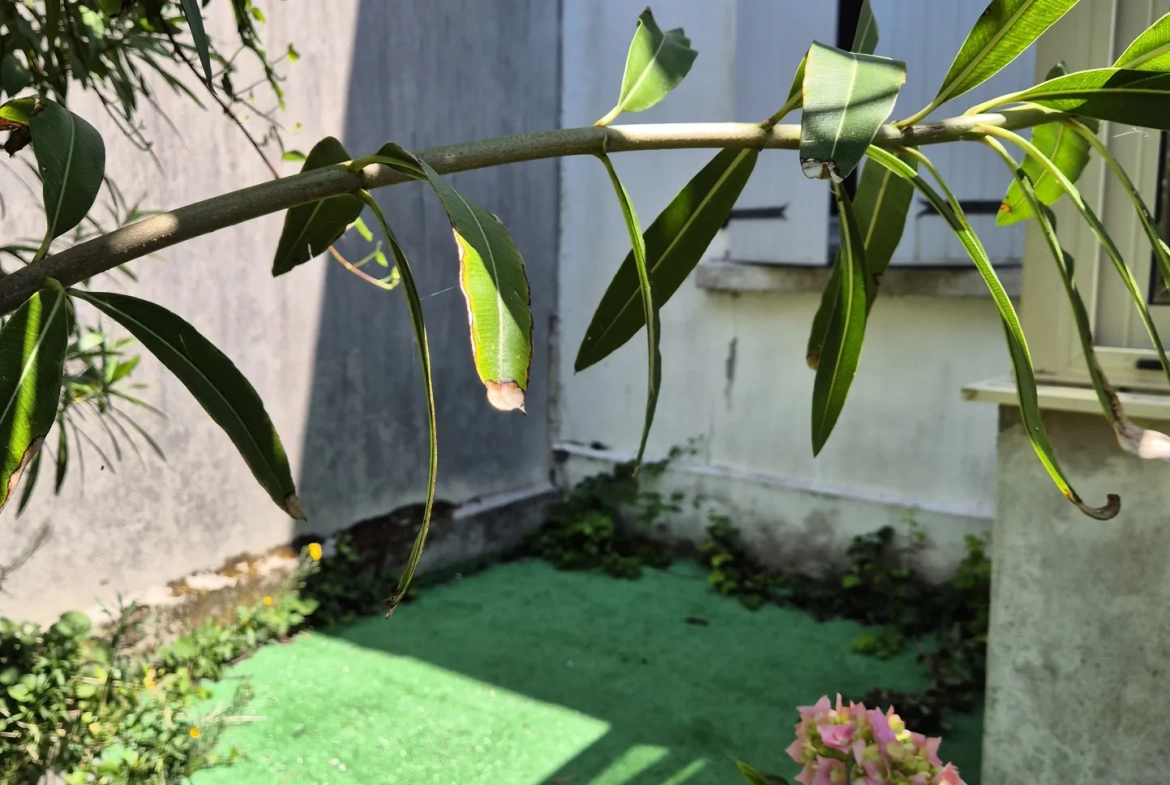 Maison T4 avec jardin et vue mer à Fouras proche de la plage Nord 