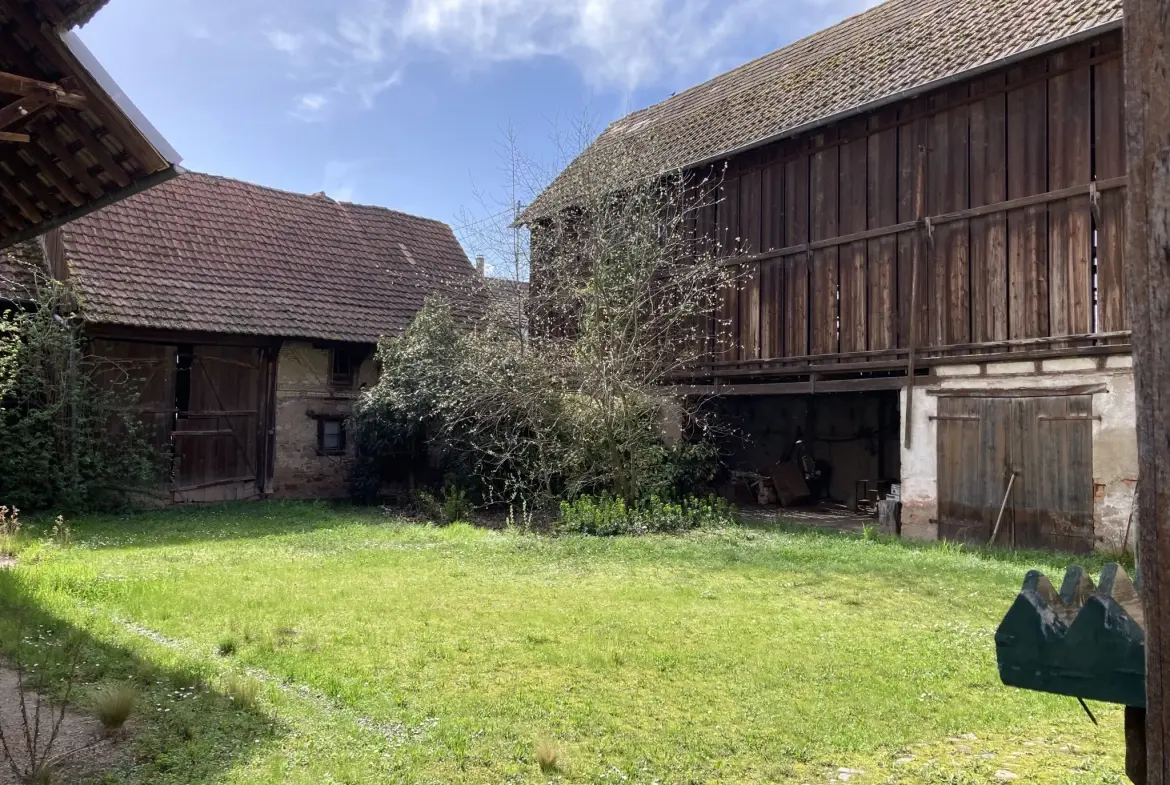 Magnifique corps de ferme alsacien avec grand terrain à Ebersheim 