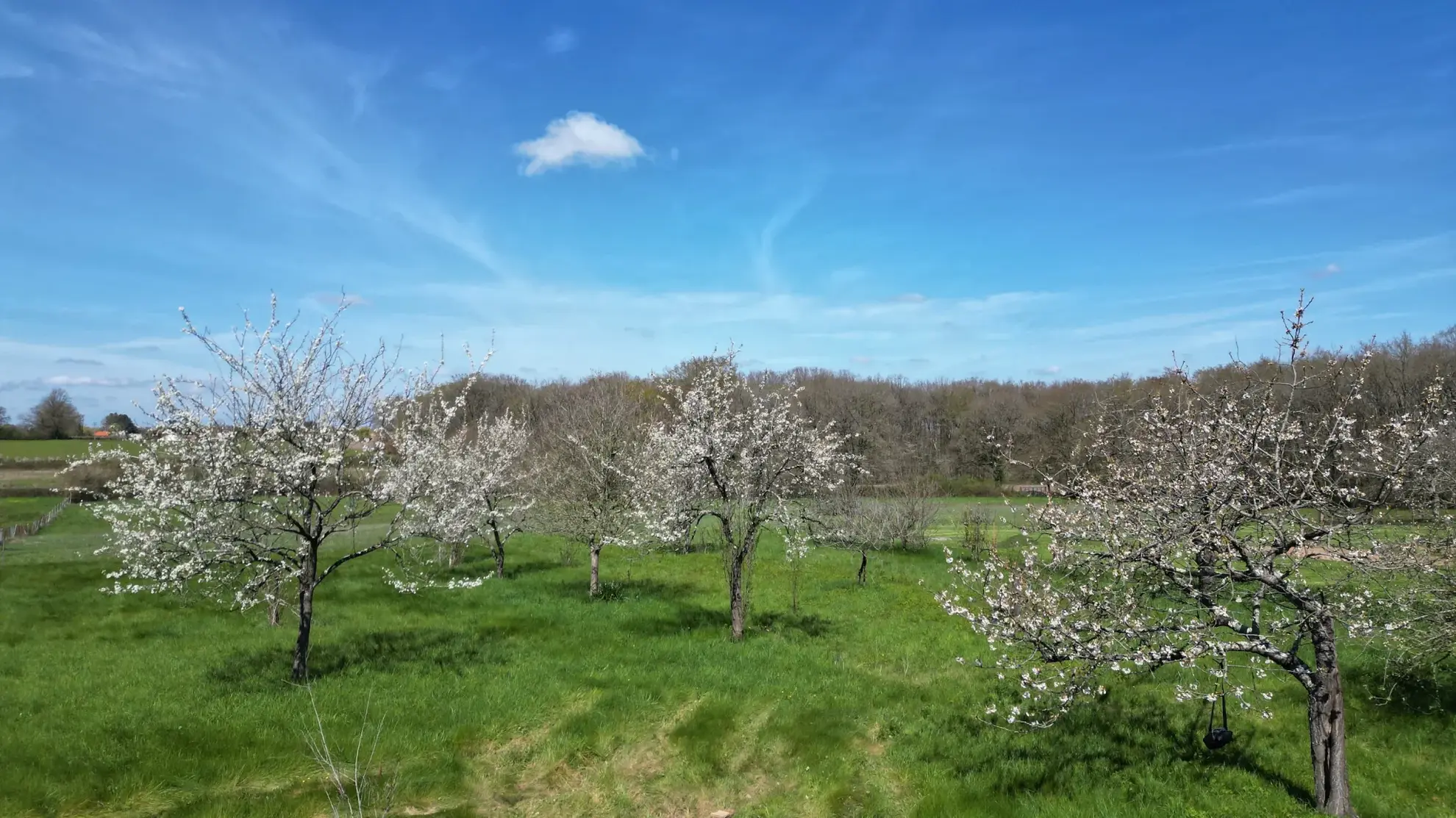 Terrain à bâtir de 1200 m2 avec vue exceptionnelle à Mignaloux-Beauvoir 