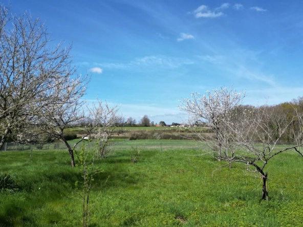 Terrain à bâtir de 1200 m2 avec vue exceptionnelle à Mignaloux-Beauvoir