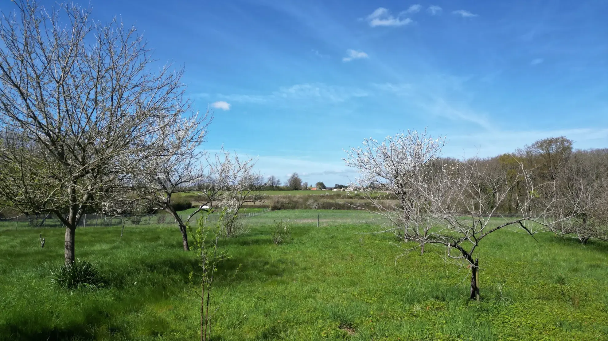 Terrain à bâtir de 1200 m2 avec vue exceptionnelle à Mignaloux-Beauvoir 