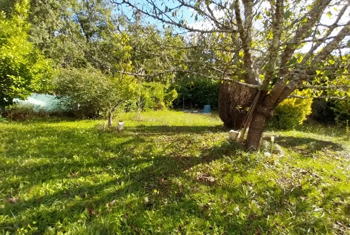 Maison de plain-pied avec 4 chambres, garage et jardin à Ribérac 
