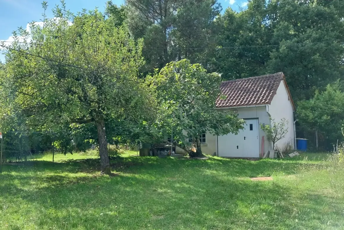 Maison de plain-pied avec 4 chambres, garage et jardin à Ribérac 