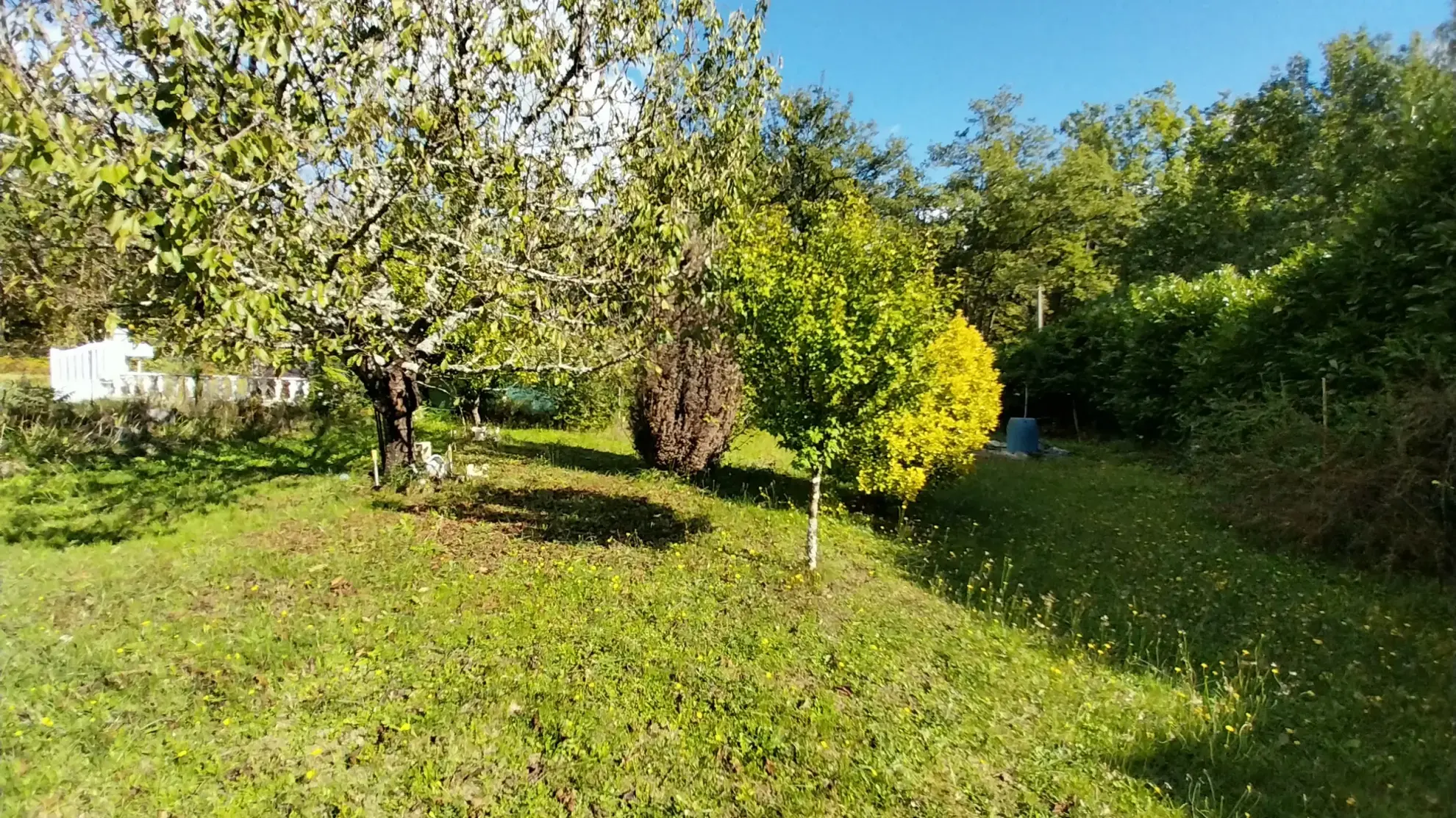 Maison de plain-pied avec 4 chambres, garage et jardin à Ribérac 