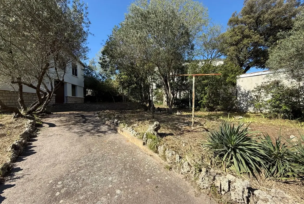 Terrain constructible viabilisé de 391 m² à Montpellier dans un quartier recherché 