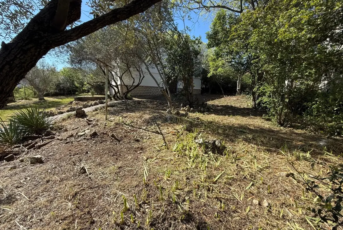 Terrain constructible viabilisé de 391 m² à Montpellier dans un quartier recherché 