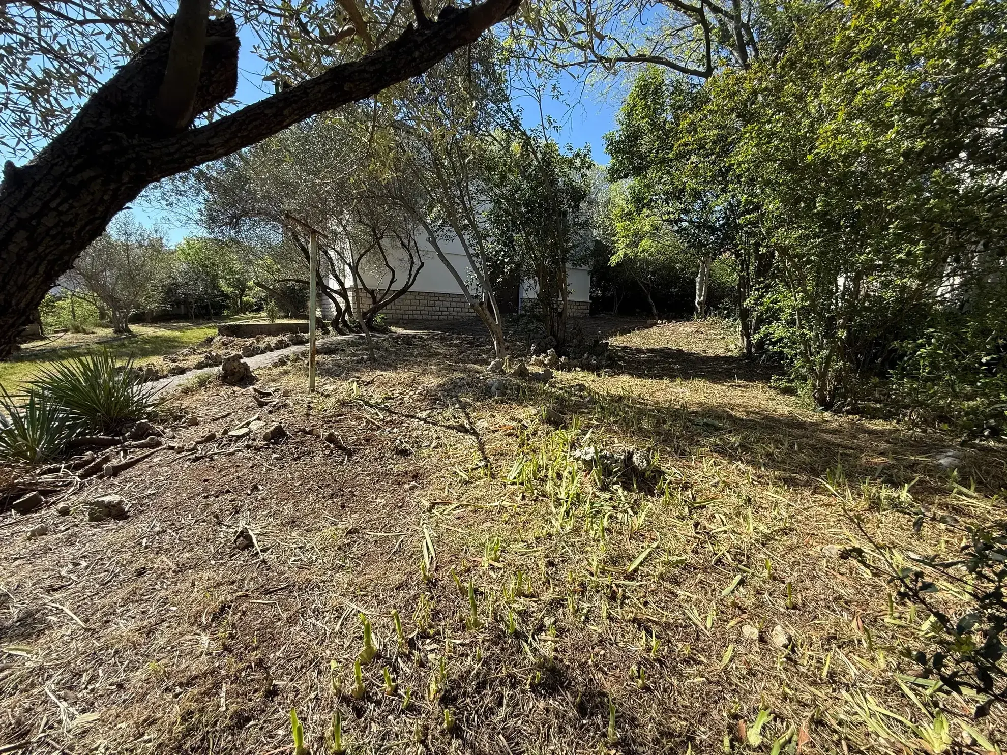 Terrain constructible viabilisé de 391 m² à Montpellier dans un quartier recherché 