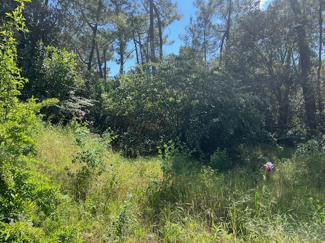 Terrain constructible à Saint-Jean-de-Monts dans le quartier de la Caillauderie 