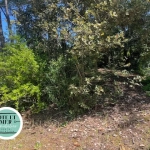 Terrain constructible à Saint-Jean-de-Monts dans le quartier de la Caillauderie
