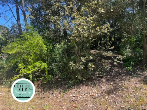 Terrain constructible à Saint-Jean-de-Monts dans le quartier de la Caillauderie