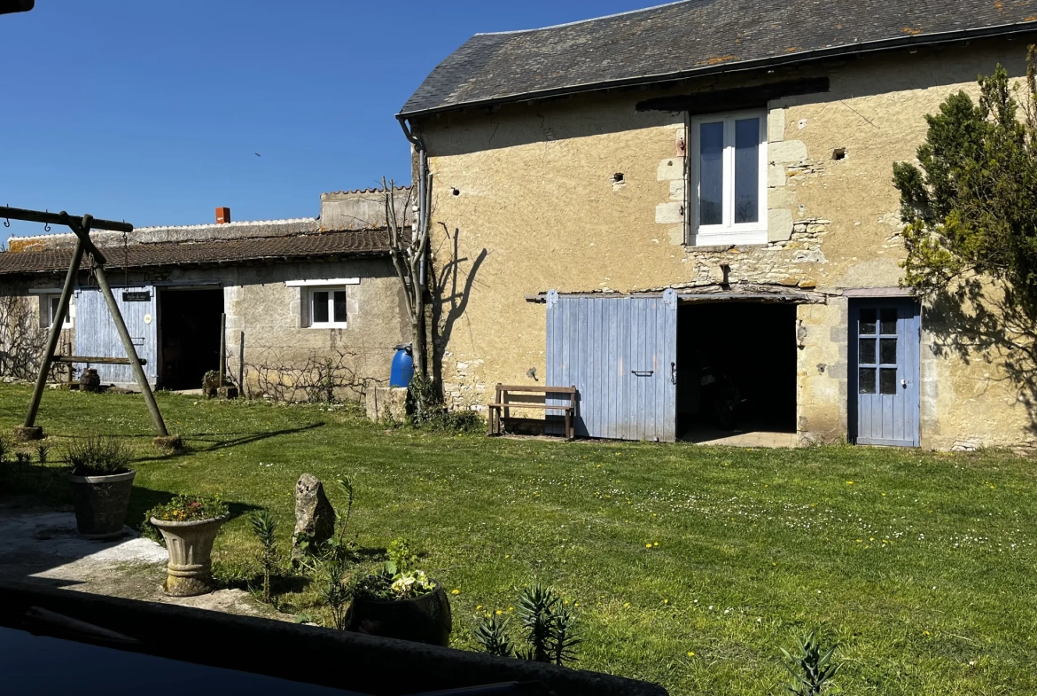 Maison rénovée avec gîte et dépendances à Mirebeau (86) - Vie à la campagne 