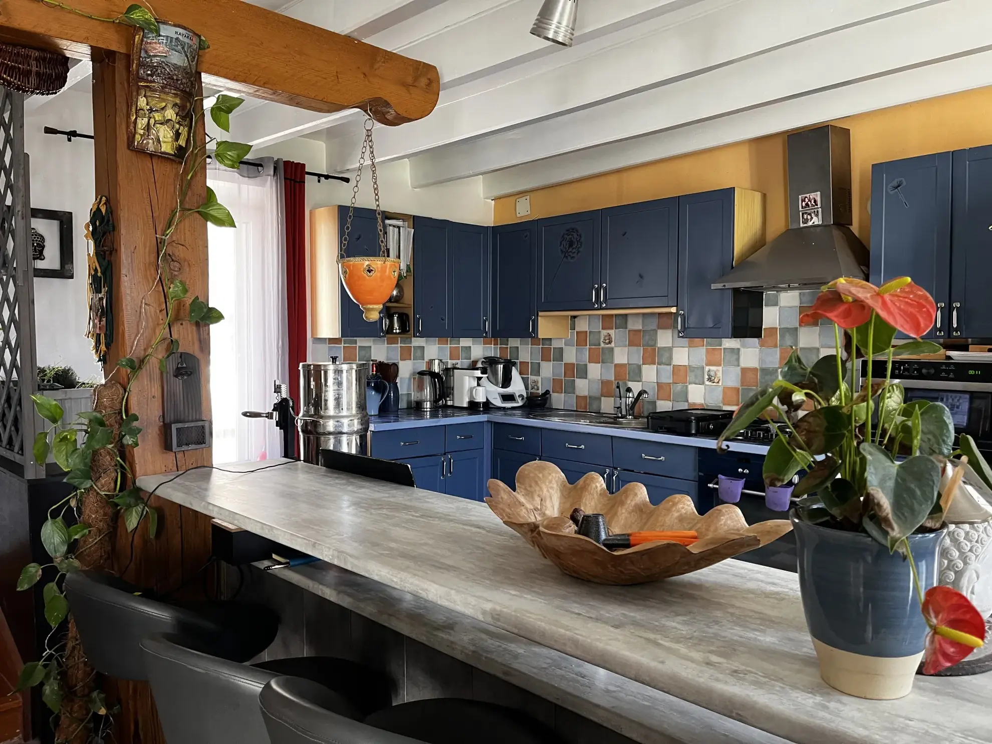Maison rénovée avec gîte et dépendances à Mirebeau (86) - Vie à la campagne 