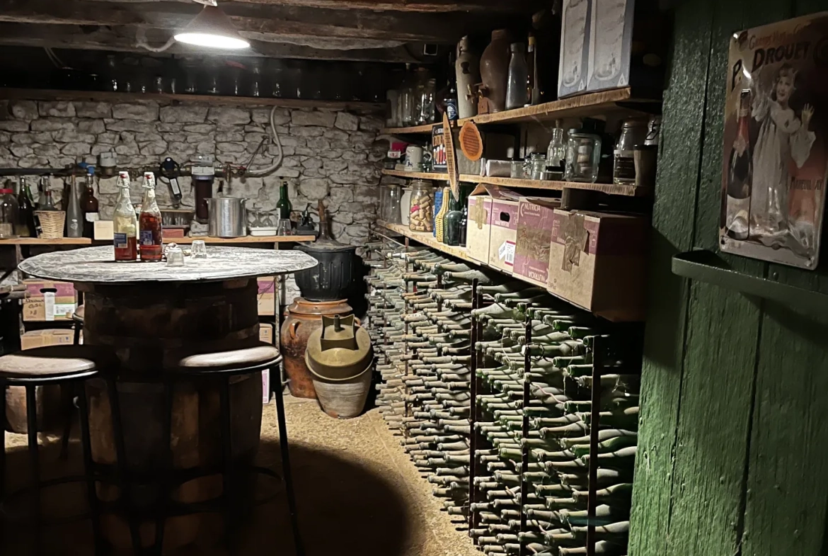 Maison rénovée avec gîte et dépendances à Mirebeau (86) - Vie à la campagne 
