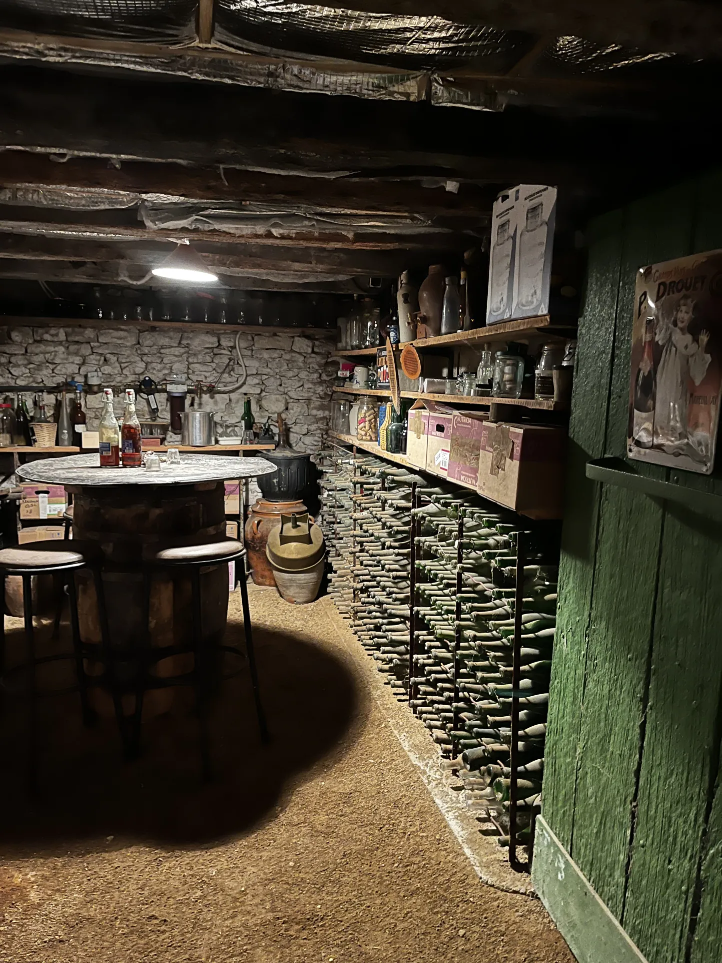 Maison rénovée avec gîte et dépendances à Mirebeau (86) - Vie à la campagne 