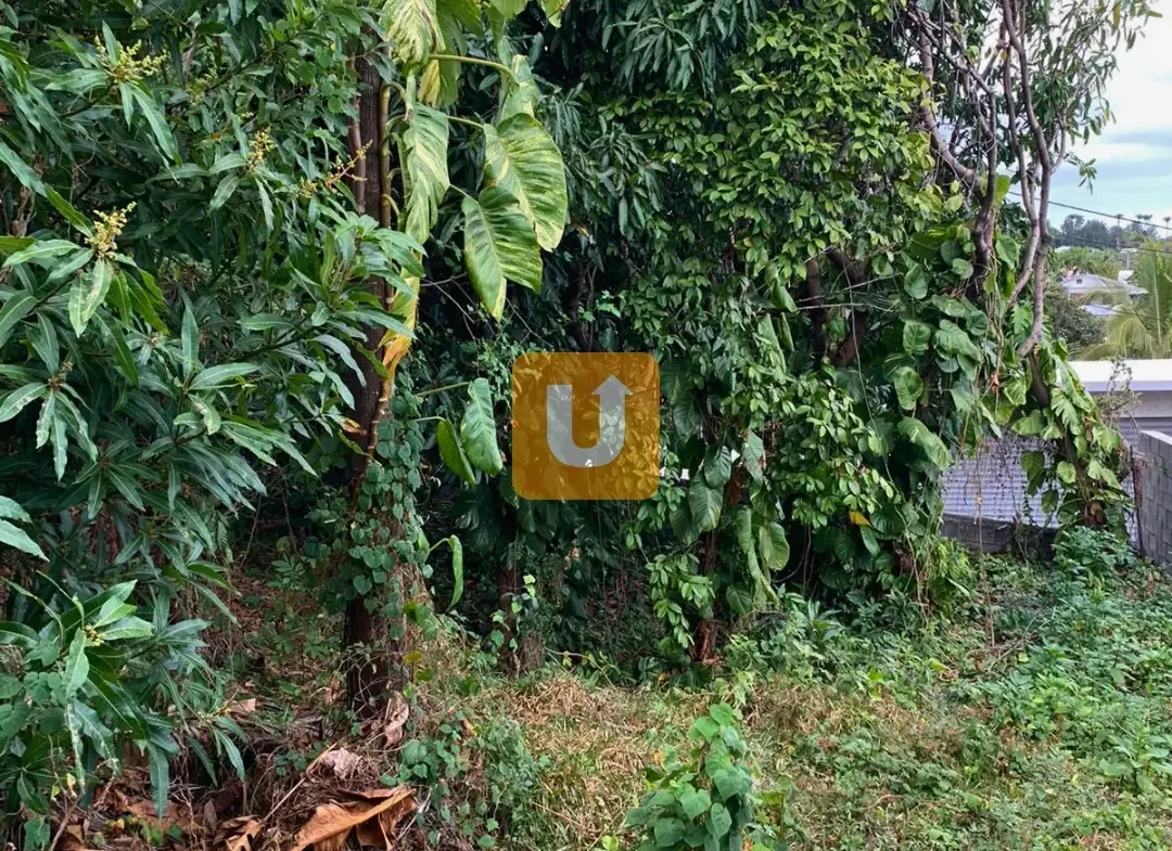 Maison à restructurer de 819 m2 dans le secteur du Tampon, Réunion 