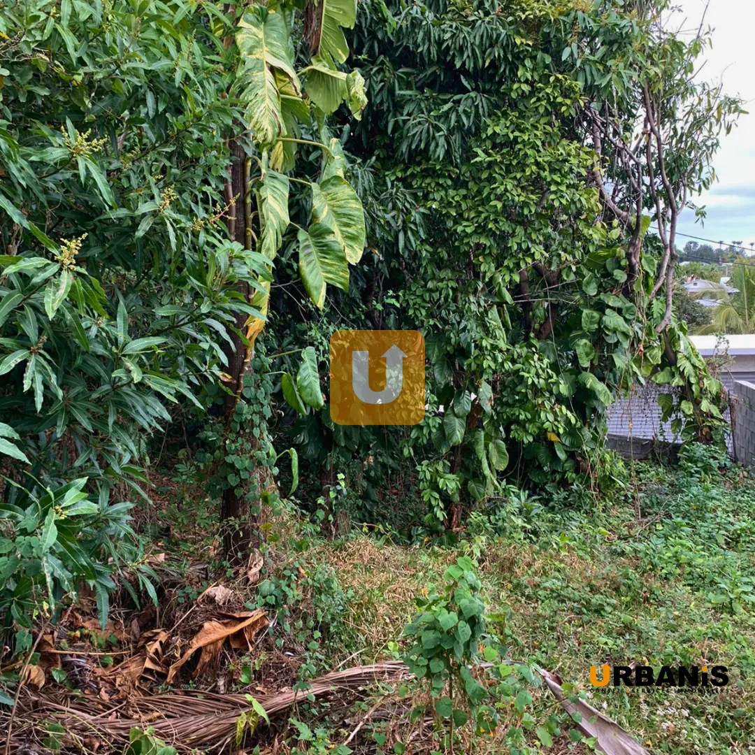 Maison à restructurer de 819 m2 dans le secteur du Tampon, Réunion 