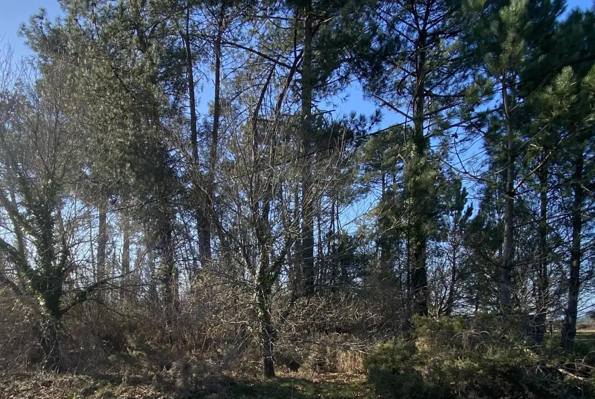 Terrain constructible à vendre à Lesperon de 2484 m² - Opportunité à saisir 