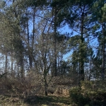 Terrain constructible à vendre à Lesperon de 2484 m² - Opportunité à saisir