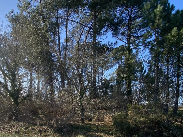 Terrain constructible à vendre à Lesperon de 2484 m² - Opportunité à saisir