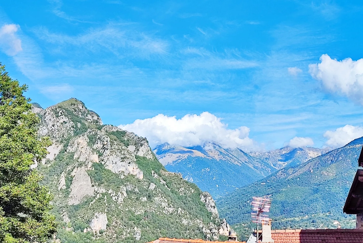 Maison de village rénovée à vendre à Belvédère avec appartements indépendants et vue montagne 